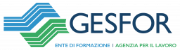 GESFOR SRL