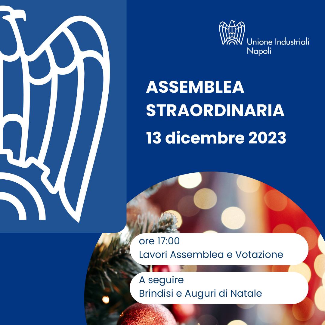 ssemblea_UIN_13_12_2023_IG.png